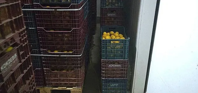 Limon çiftçide 1,5 lira tezgahta 20 TL! Sorunu Berat Albayrak tespit etmişti | Hal Yasası ne oldu?