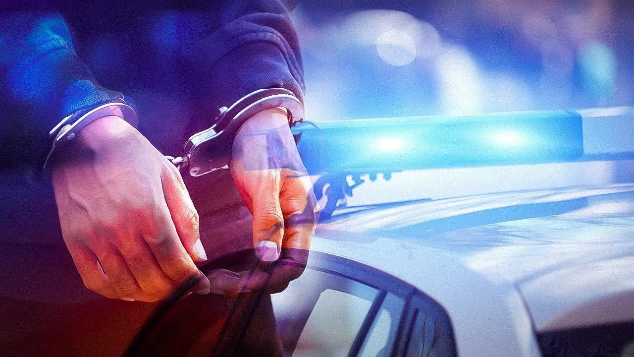 Rus pasaportlu FETÖ'cü enselendi! Amerikalı Allen gibi yurda giriş yapmak istedi