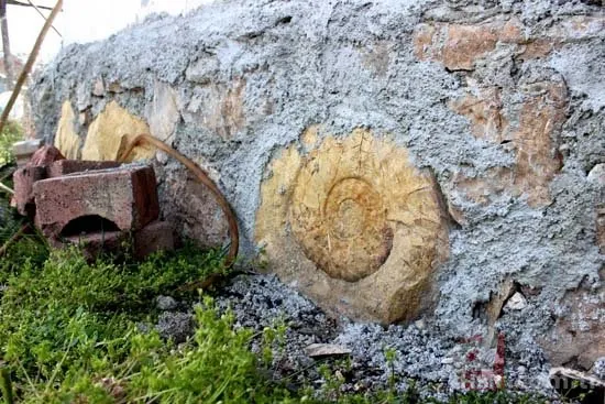 Adıyaman’da evin temelinde 200 milyon yıllık tarih bulundu