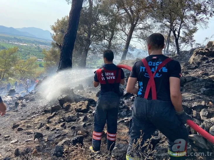 Orman yangınlarında son durum | 240 orman yangınının 235 tanesi söndürüldü!