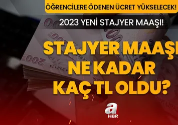 Stajyer maaşı ne kadar oldu? Öğrenci staj parası ne kadar zamlandı? 2023 TEMMUZ STAJYER ÜCRETİ!