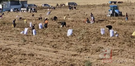 "Ücretsiz"i duyan torbasıyla koştu! Adeta akın ettiler 4