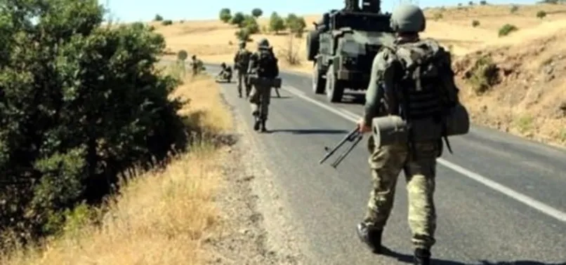 Diyarbakır ve Hakkari'de 3 bin askerle dev operasyon