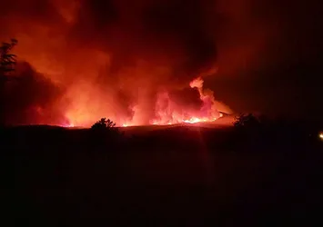Ankara'da korkutan orman yangını!