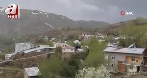 O köy diken üstünde
