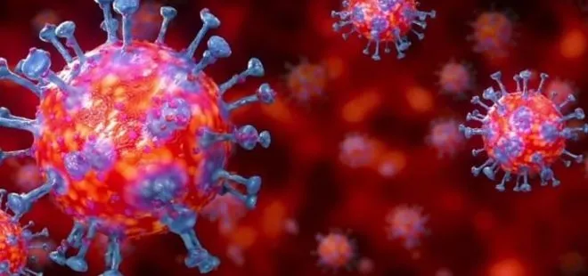 Koronavirüs araştırmalarında flaş gelişme: Bugüne kadar gözden kaçtı