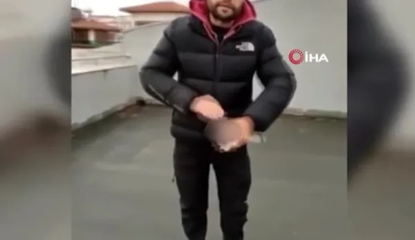 canli-yayinda-guvercinin-basini-kopartti-ankaradaki-vahsette-guvercinin-can-cekistigi-anlar-kameralara-yansidi-1671742278751.jpg Canlı yayında güvercinin başını koparttı! Ankara'daki vahşette güvercinin can çekiştiği anlar kameralara yansıdı - 2