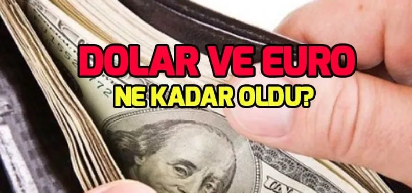Dolar 20 Şubat son durum: Dolar ve Euro ne kadar oldu? Döviz kuru canlı