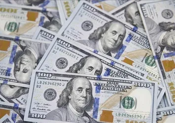 Merkez Bankasından döviz hamlesi