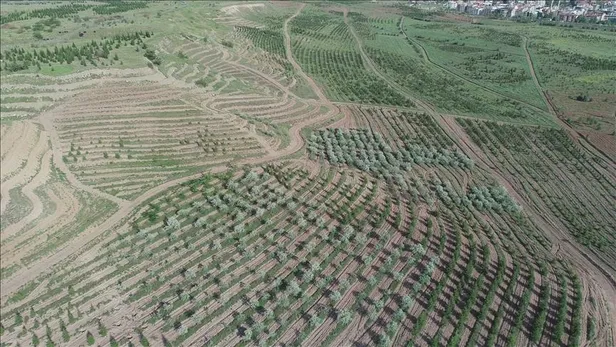 OGM memur alımı ilanı 2023: Orman Genel Müdürlüğü 1.128 personel alımı başvuru nasıl yapılır? Şartlar ve kadro dağılımı...