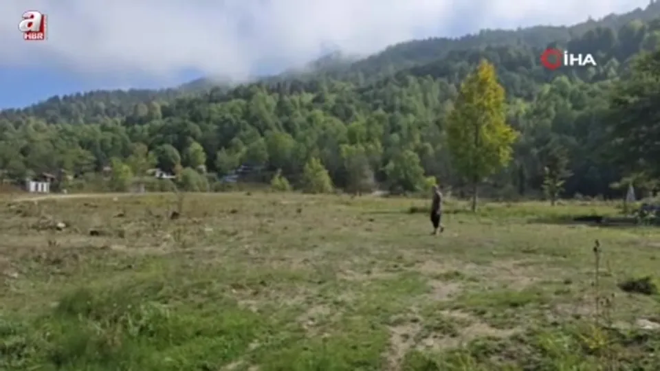 Bin 200 kilometre uzaktan gelip diktiği fidanlar orman oldu