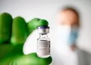 Koronavirüse karşı yüzde 95 başarıyla dünyaya umut oldu! Pfizer/BioNTech aşısı yola çıktı