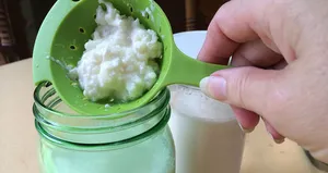 Kefir nedir? Nasıl mayalanır? Faydaları nelerdir?
