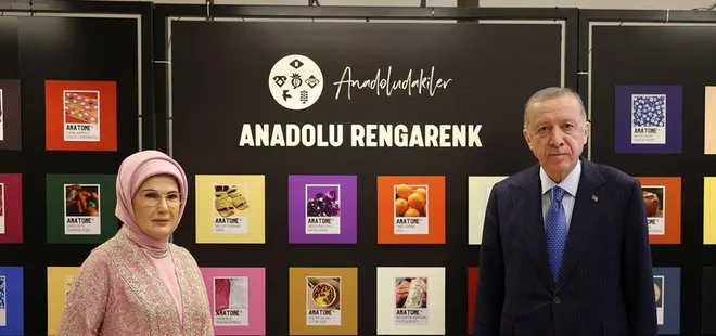 Başkan Erdoğan Anadoludakiler Projesi'nin sergisini gezdi