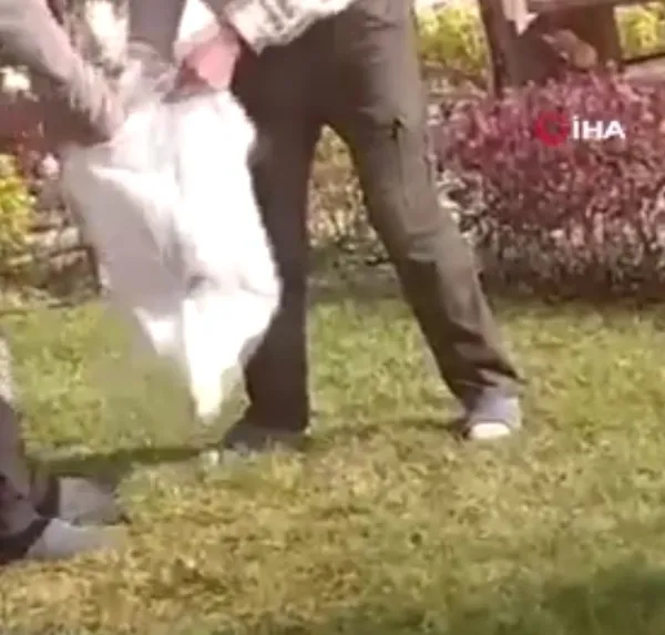 bilecikte-kyk-yurdunda-insanlik-disi-olaya-sert-tepki-bahcedeki-kedileri-toplayip-cuvallara-koydular-1670401151728.jpg Bilecik’te KYK yurdunda insanlık dışı olaya sert tepki! Bahçedeki kedileri toplayıp çuvallara koydular - 1
