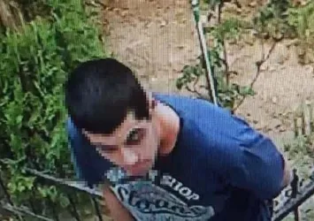 İzmir'de kediyi tekmeleyerek öldürdü