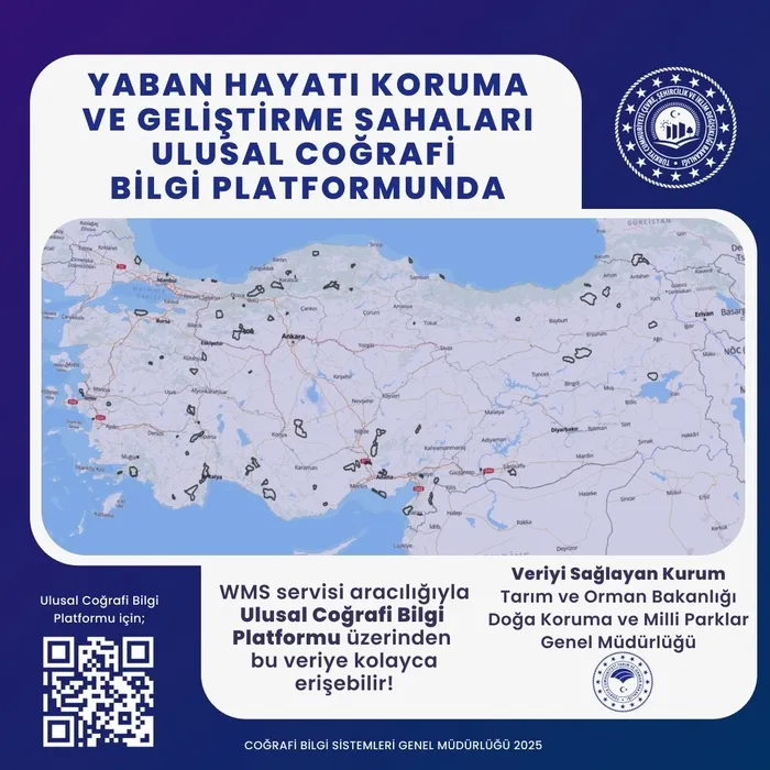 turkiyenin-dijital-haritalari-cikarildi-siginak-alanlarindan-fay-hatlarina-1764408666721.jpeg Türkiye’nin dijital haritaları (AHABER)