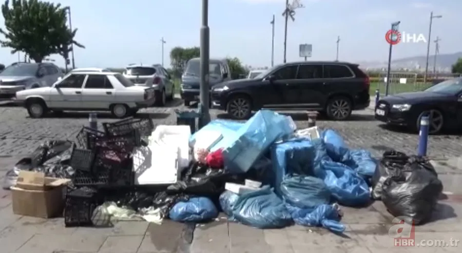 İzmir'de halkı isyan ettiren görüntüler! Karada çöp dağları, havada pis koku ve denizde balık ölümleri... 15