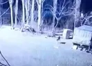 Kemiğini bile bırakmadılar