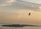 Çekirge sürüleri o şehri istila etti!