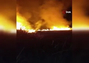 Yüksekova'da kuş cenneti alev alev yandı