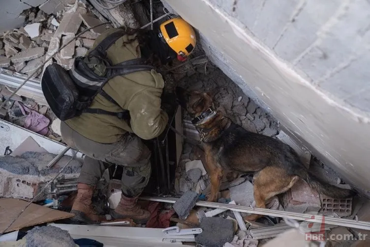 İsrailli cankurtaran deprem bölgesinde yaşadıklarını anlattı! Türkler harika insanlar 8