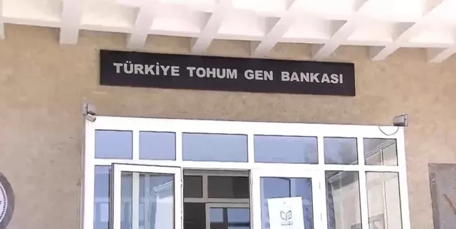 İşte Türkiye’nin Tohum Gen Bankası! Binlerce çeşit geleceğe aktarılıyor
