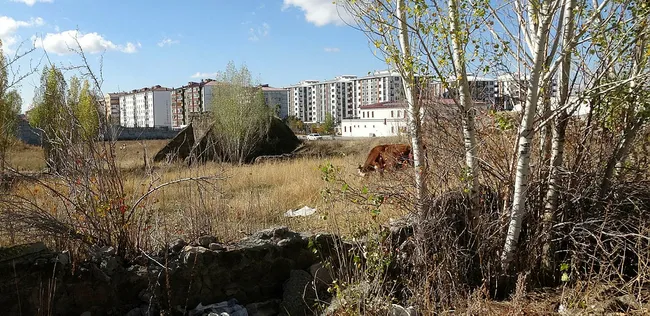 Erzurum'da 160 yıllık topçu kulesi definecilerin saldırısına uğradı - 2
