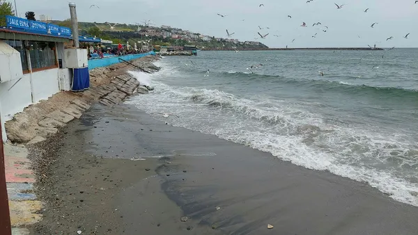son-dakika-marmara-denizi-ulasimina-poyraz-engeli-1651500344896.jpg Son dakika: Marmara Denizi ulaşımına poyraz engeli! - 1
