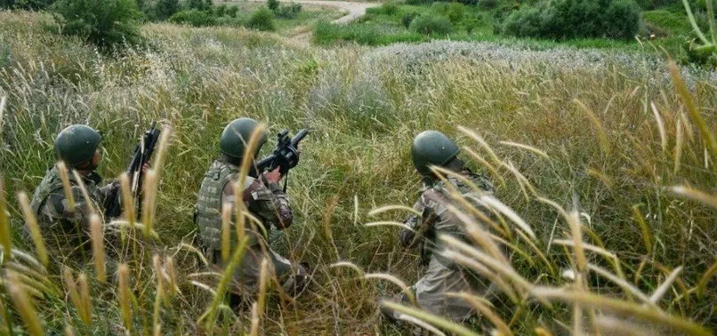Son dakika: MİT'ten PKK'ya nokta operasyonu! "Çukur" teröristleri Renas Ermeğan ile Nevzat Durmuş etkisiz hale getirildi
