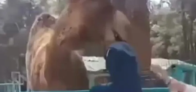 Denizli'de hayvanat bahçesinde dehşete düşüren görüntüler! Deve küçük çocuğa öyle bir şey yaptı ki...