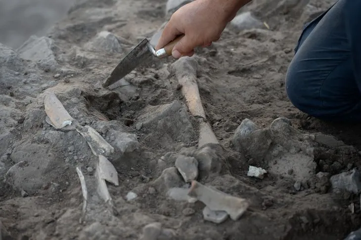 Oylum Höyük’te kazılar sonrası ortaya çıkan gerçek