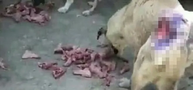 CHP'li Ceyhan Belediyesi'nden büyük vicdansızlık!