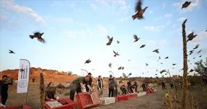 Kırklareli’nde doğaya keklik salındı