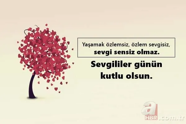 En güzel Sevgililer Günü mesajları… Sevgiliye anlamlı resimli mesajlar! 14 Şubat Sevgililer Günü sözleri ve mesajları! 16