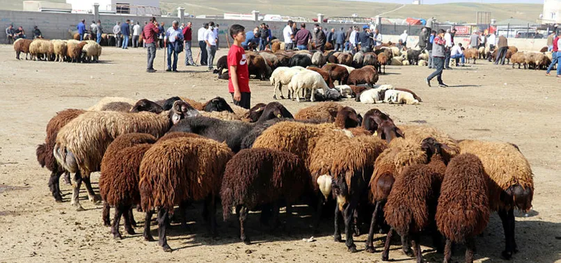 Diyanet takvimi: 2022 Kurban Bayramı ne zaman, hangi günler? Kurban Bayramı tatili kaç gün olacak?