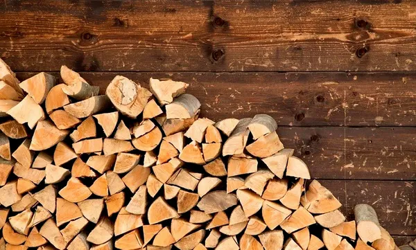 Almanya’da kriz büyüyor! Odun altından değerli oldu