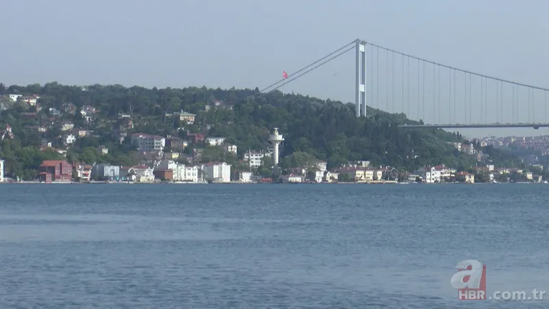 İstanbul'da depreme dayanıklı ilçeler hangisi? Japon mühendis 7.5 şiddetine bile dayanır diyerek duyurdu | İşte İstanbul risk haritası… 7