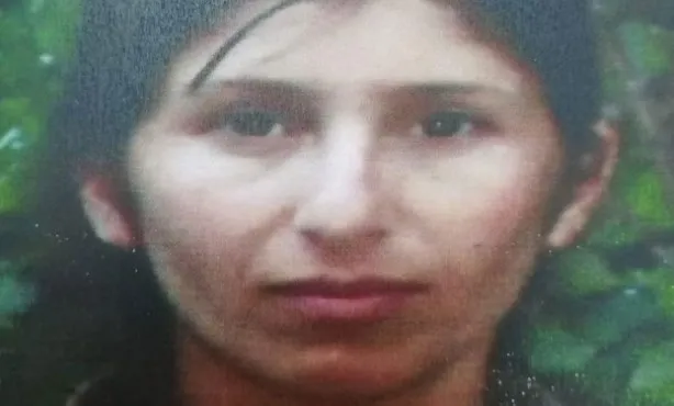 Son dakika: PKK'nın sözde 'Dersim eyaleti' konsey üyesi Evrim Tokmak sağ yakalandı - 1