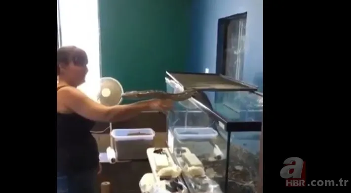 Her şey bir anda oldu! Dev piton yılanı bakıcısına böyle saldırdı 2
