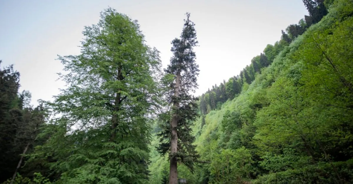 cevre ve sehircilik bakanligi hazirladi