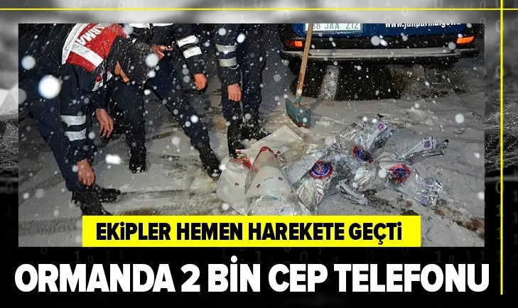 Kayseri'de ormanda 2 bin cep telefonu yakılmış halde bulundu
