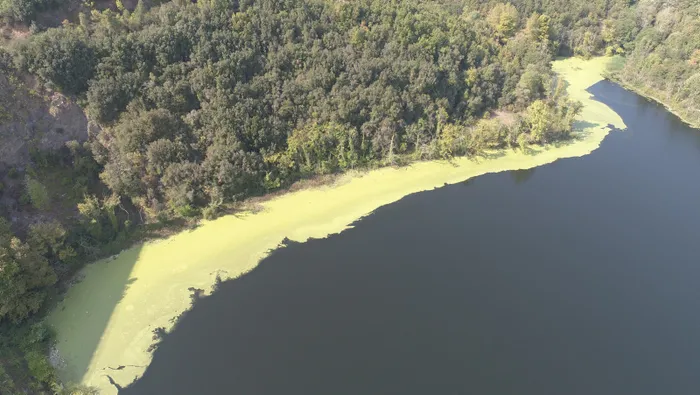 İstanbul’da ürküten manzara! Elmalı Barajı’nın suyu yine yeşile döndü