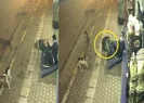 Sokak köpekleri bir anda saldırdı!