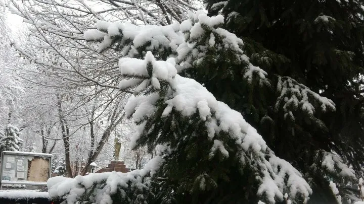Son dakika | Nisan ayında 2 ilde kar sürprizi! Bahar henüz buralara uğramadı