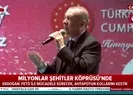 FETÖnün büyüttüğü ahtapotun kollarını kestik