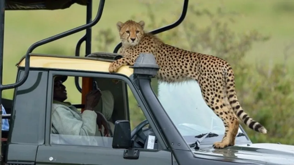 Afrika'nın tropikal cenneti: Kenya