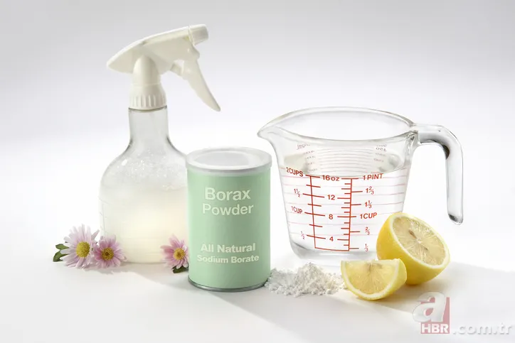 Evdeki küf ve rutubet lekesinden eser kalmayacak! 10 dakikada kurtulun 11