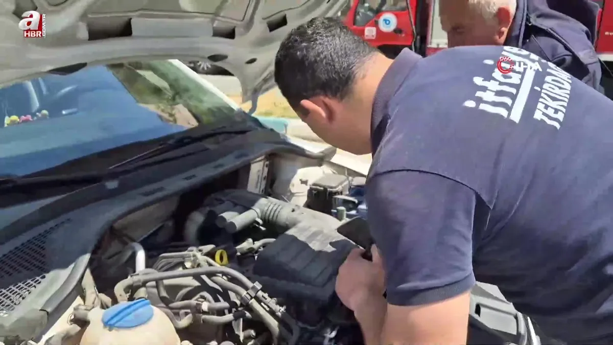 Bir garip kedi kurtarma operasyonu