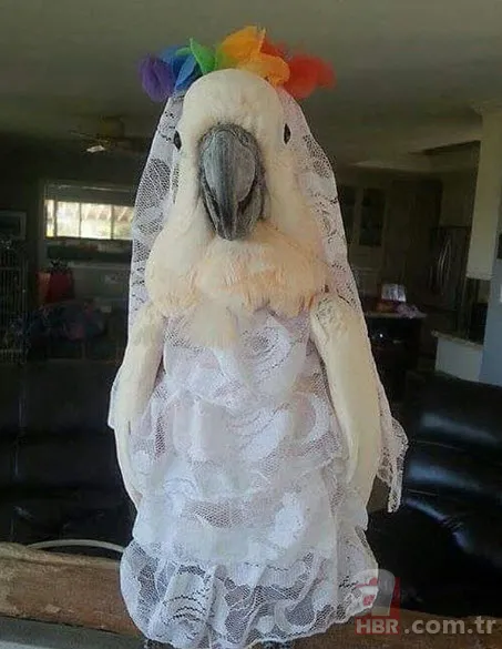 Anlamsız fotoğraflar 17